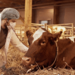 asset-management-software-for-dairy-farms